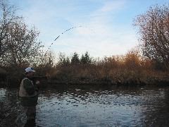 IMG_8154.JPG