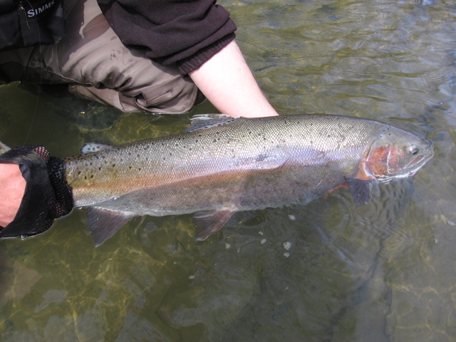 IMG_0508