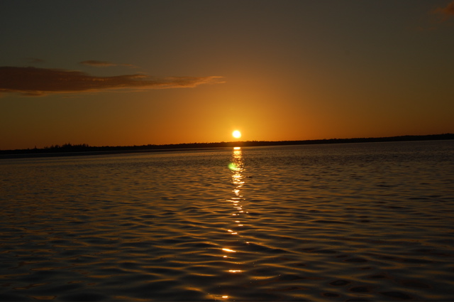 DSC_2837