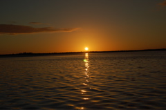 DSC_2837