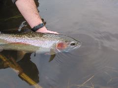 IMG_7696.JPG