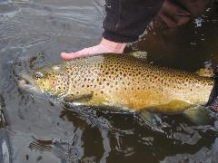 IMG_7707.JPG