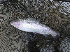 IMG_7561.JPG