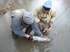 IMG_7565.JPG