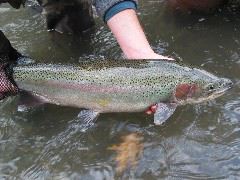IMG_7573.JPG