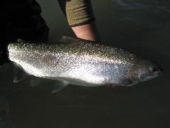 IMG_7590.JPG