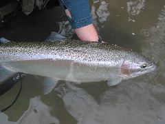 IMG_7667.JPG