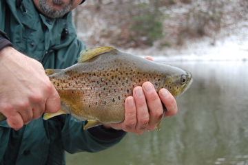 DSC_2042